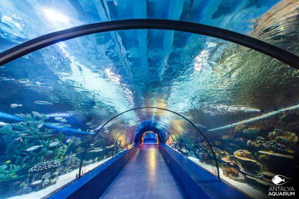 Antalya Aquarium 