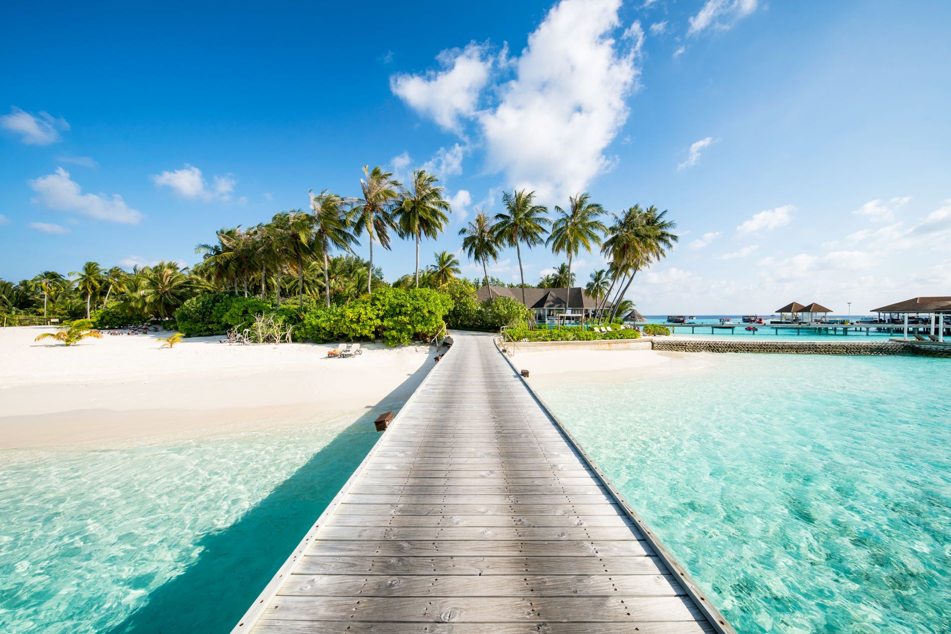 Tropischer Strand mit Palmen in der Karibik.